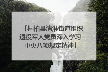 桐柏县清淮街道组织退役军人党员深入学习中央八项规定精神