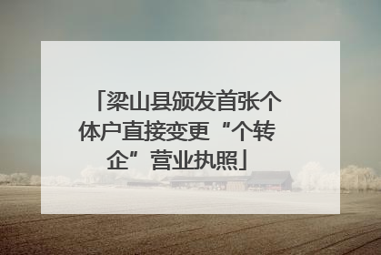梁山县颁发首张个体户直接变更“个转企”营业执照