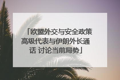 欧盟外交与安全政策高级代表与伊朗外长通话 讨论当前局势