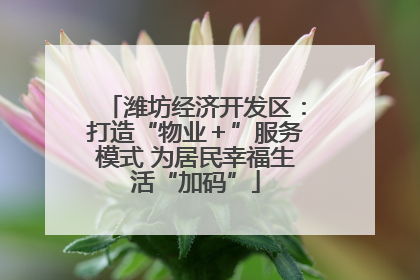 潍坊经济开发区：打造“物业＋”服务模式 为居民幸福生活“加码”