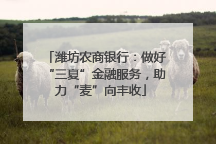 潍坊农商银行：做好“三夏”金融服务，助力“麦”向丰收