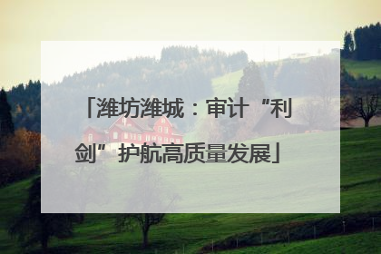 潍坊潍城：审计“利剑”护航高质量发展