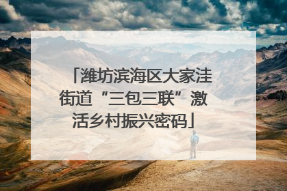 潍坊滨海区大家洼街道“三包三联”激活乡村振兴密码