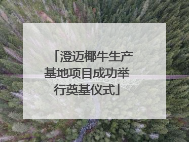 澄迈椰牛生产基地项目成功举行奠基仪式