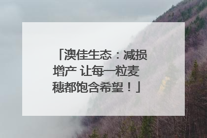 澳佳生态：减损增产 让每一粒麦穗都饱含希望！
