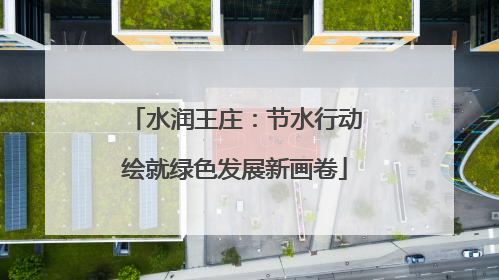 水润王庄：节水行动绘就绿色发展新画卷