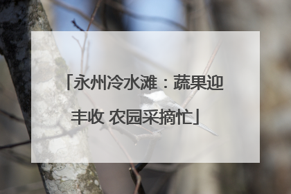 永州冷水滩：蔬果迎丰收 农园采摘忙