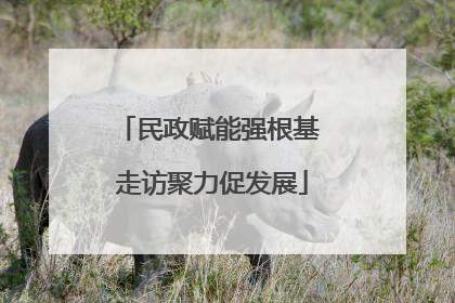 民政赋能强根基 走访聚力促发展