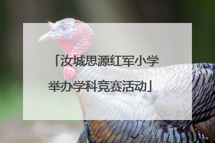 汝城思源红军小学举办学科竞赛活动
