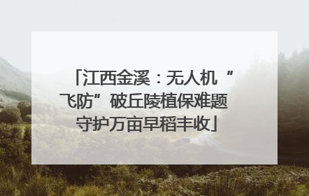 江西金溪：无人机“飞防”破丘陵植保难题 守护万亩早稻丰收