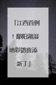 江西首例！鄱阳湖湿地彩鹮喜添新丁