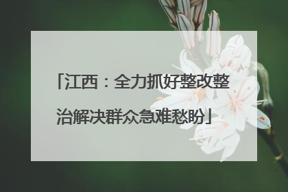 江西：全力抓好整改整治解决群众急难愁盼