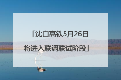 沈白高铁5月26日将进入联调联试阶段