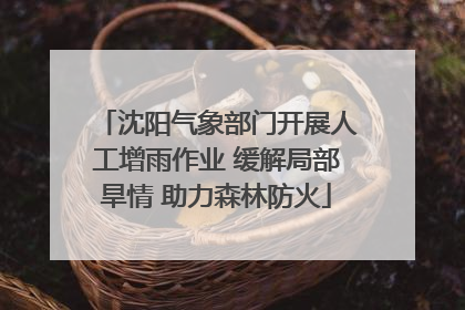 沈阳气象部门开展人工增雨作业 缓解局部旱情 助力森林防火