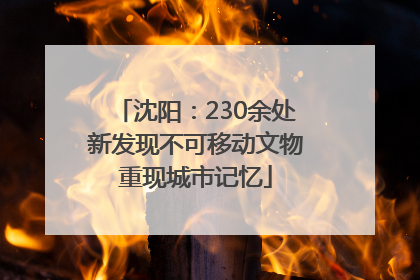 沈阳：230余处新发现不可移动文物重现城市记忆