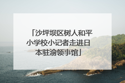 沙坪坝区树人和平小学校小记者走进日本驻渝领事馆