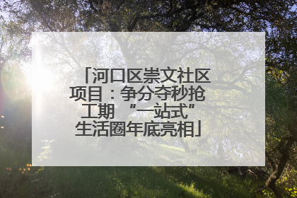 河口区崇文社区项目：争分夺秒抢工期 “一站式”生活圈年底亮相