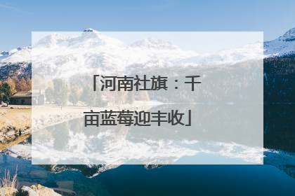 河南社旗：千亩蓝莓迎丰收