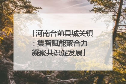 河南台前县城关镇：集智赋能聚合力 凝聚共识促发展