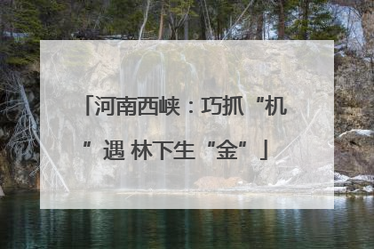 河南西峡：巧抓“机”遇 林下生“金”