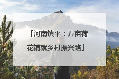 河南镇平：万亩荷花铺就乡村振兴路