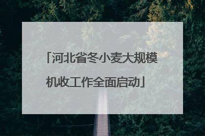 河北省冬小麦大规模机收工作全面启动