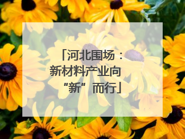 河北围场：新材料产业向“新”而行
