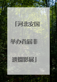 河北安国举办首届非遗摄影展
