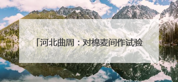 河北曲周：对棉麦间作试验田进行实打实收现场测产