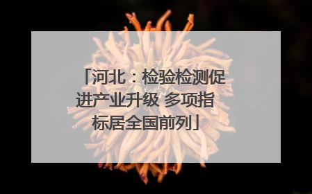 河北：检验检测促进产业升级 多项指标居全国前列