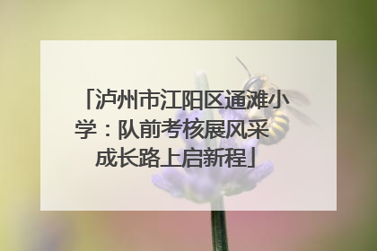 泸州市江阳区通滩小学：队前考核展风采 成长路上启新程