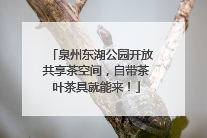 泉州东湖公园开放共享茶空间，自带茶叶茶具就能来！