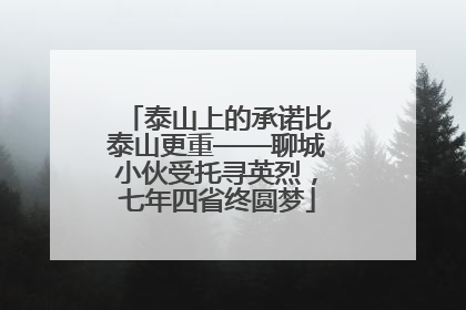 泰山上的承诺比泰山更重——聊城小伙受托寻英烈，七年四省终圆梦