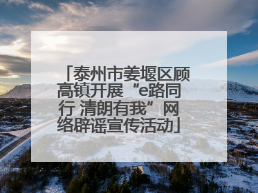 泰州市姜堰区顾高镇开展“e路同行 清朗有我”网络辟谣宣传活动