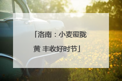 洛南：小麦覆陇黄 丰收好时节