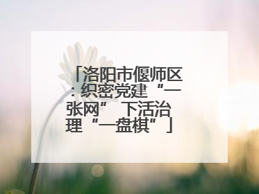 洛阳市偃师区：织密党建“一张网” 下活治理“一盘棋”