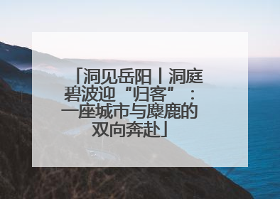洞见岳阳丨洞庭碧波迎“归客”：一座城市与麋鹿的双向奔赴