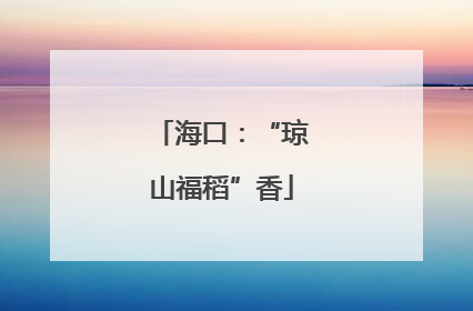 海口：“琼山福稻”香