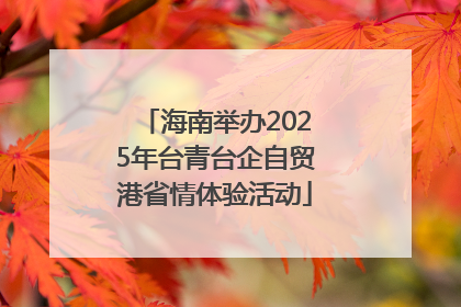 海南举办2025年台青台企自贸港省情体验活动