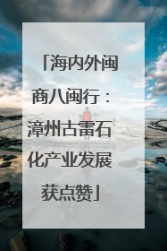 海内外闽商八闽行：漳州古雷石化产业发展获点赞