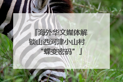 海外华文媒体解锁山西河津小山村“蝶变密码”