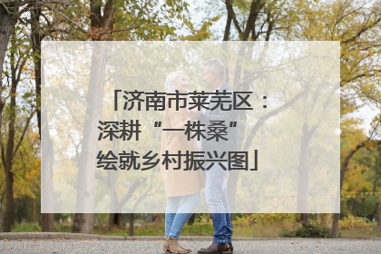 济南市莱芜区：深耕“一株桑” 绘就乡村振兴图