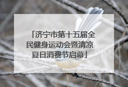 济宁市第十五届全民健身运动会暨清凉夏日消费节启幕