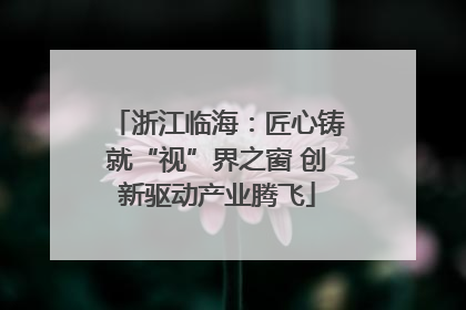 浙江临海：匠心铸就“视”界之窗 创新驱动产业腾飞