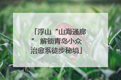 浮山“山海通廊” 解锁青岛小众治愈系徒步秘境