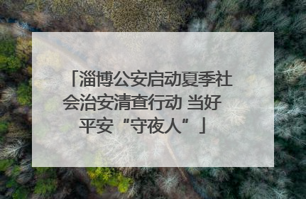 淄博公安启动夏季社会治安清查行动 当好平安“守夜人”