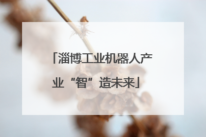 淄博工业机器人产业“智”造未来