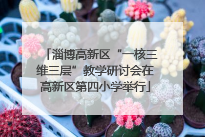 淄博高新区“一核三维三层”教学研讨会在高新区第四小学举行