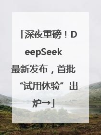 深夜重磅！DeepSeek最新发布，首批“试用体验”出炉→