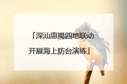 深汕惠揭四地联动开展海上防台演练